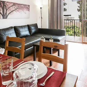 Monko Cactus , Torremolinos Spanje